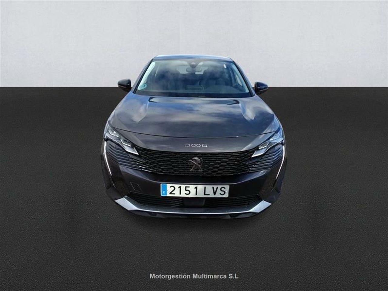 peugeot 3008 2021 / foto grande (2)