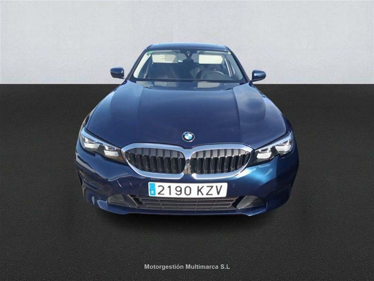 bmw serie 3 2019 / foto grande (2)