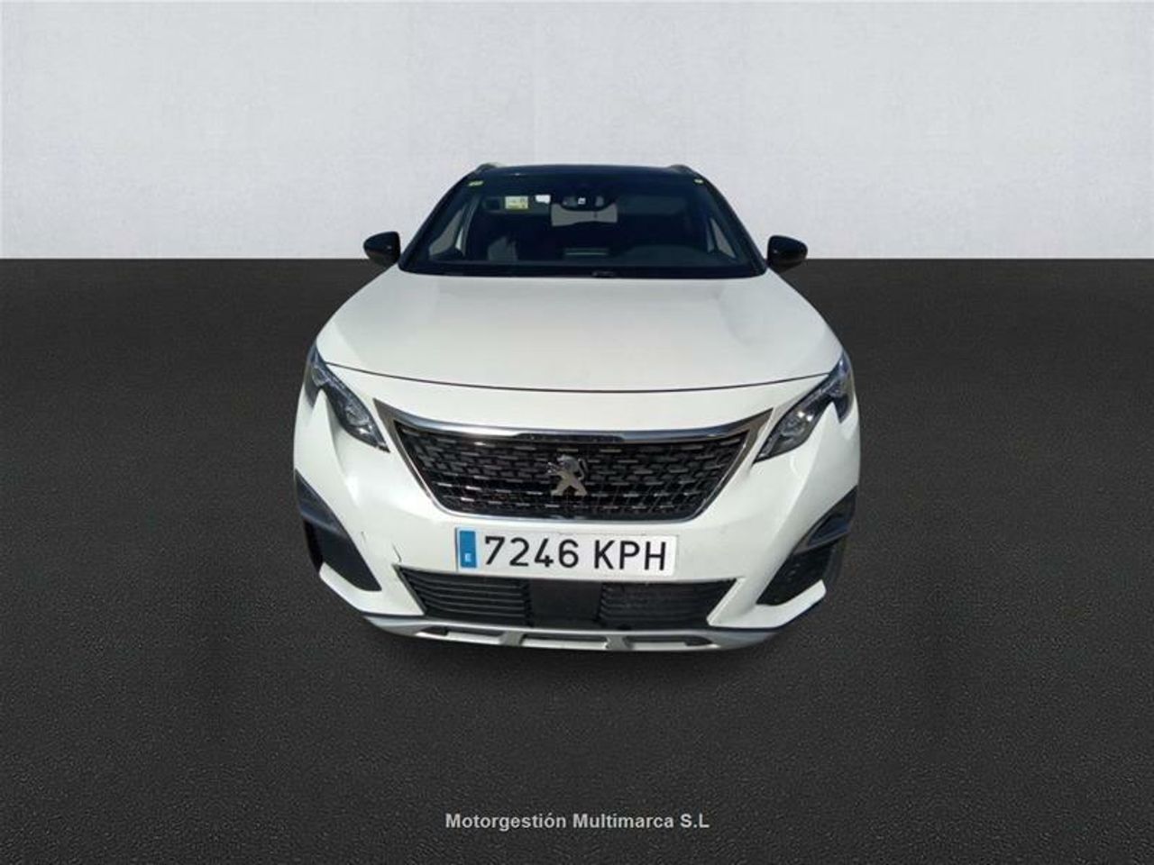 peugeot 3008 2018 / foto grande (2)