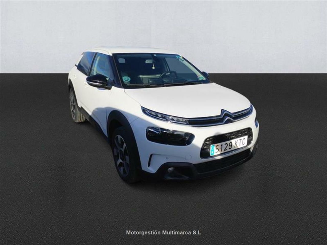 citroën c4 cactus 2019 / foto grande (3)