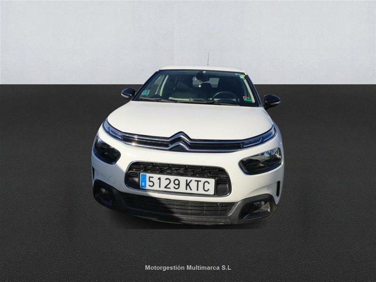 citroën c4 cactus 2019 / foto grande (2)