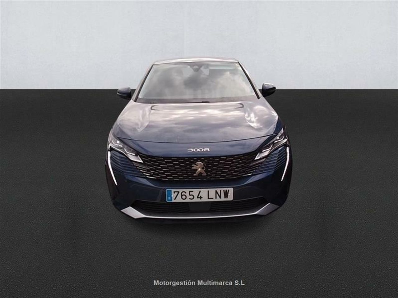 peugeot 3008 2021 / foto grande (2)