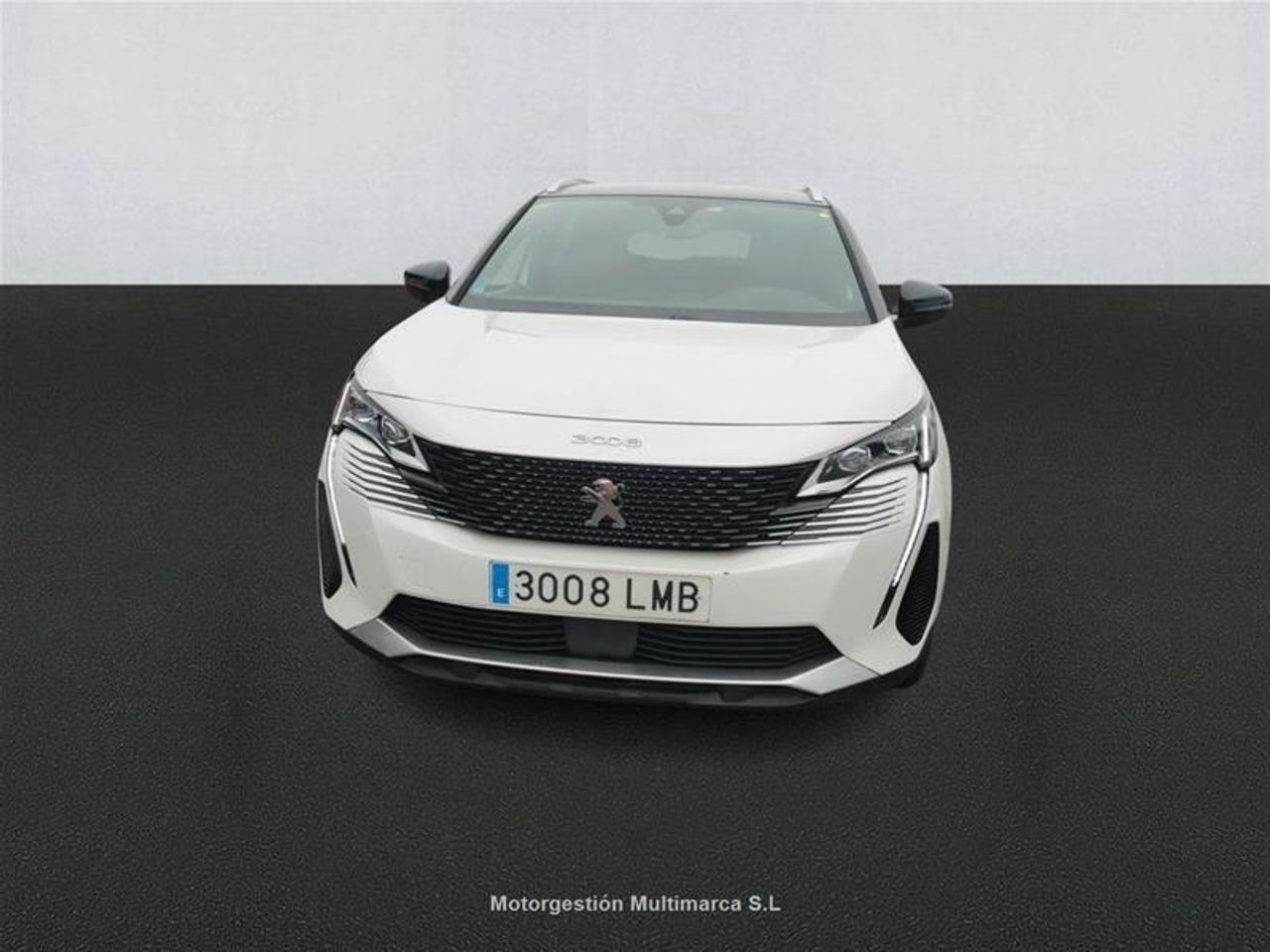 peugeot 3008 2020 / foto grande (2)