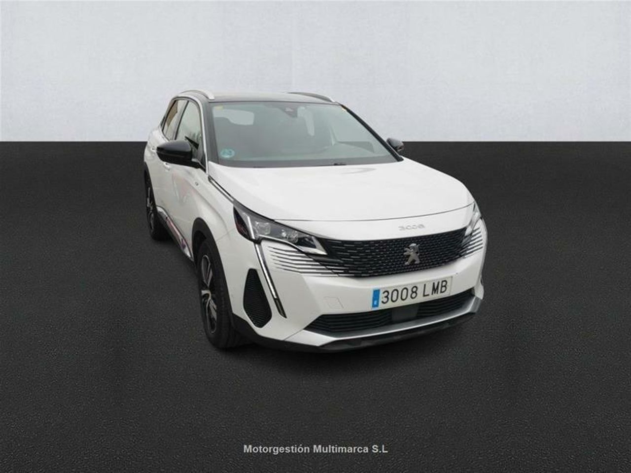 peugeot 3008 2020 / foto grande (3)