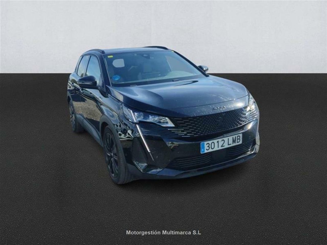 peugeot 3008 2020 / foto grande (3)