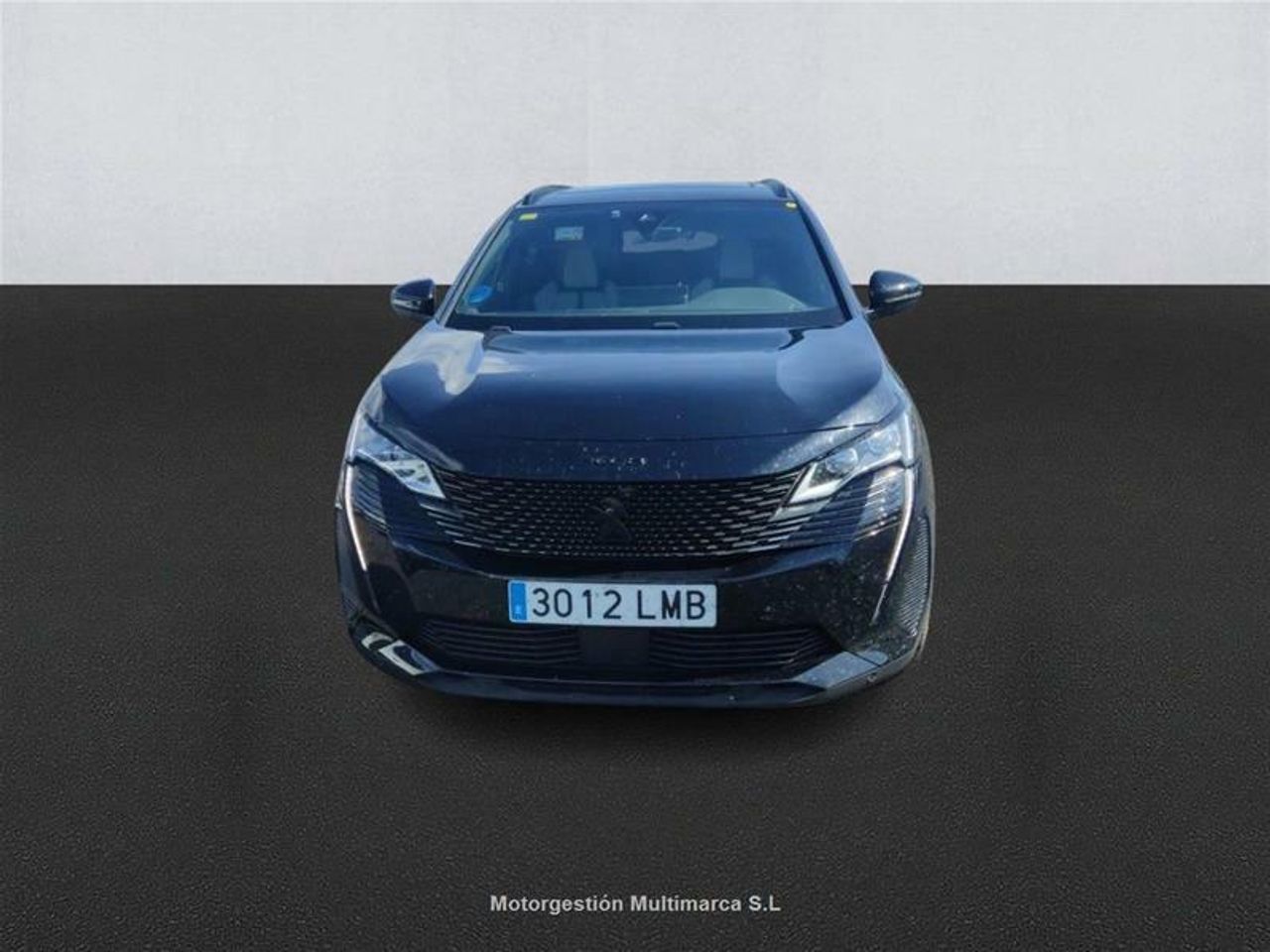 peugeot 3008 2020 / foto grande (2)
