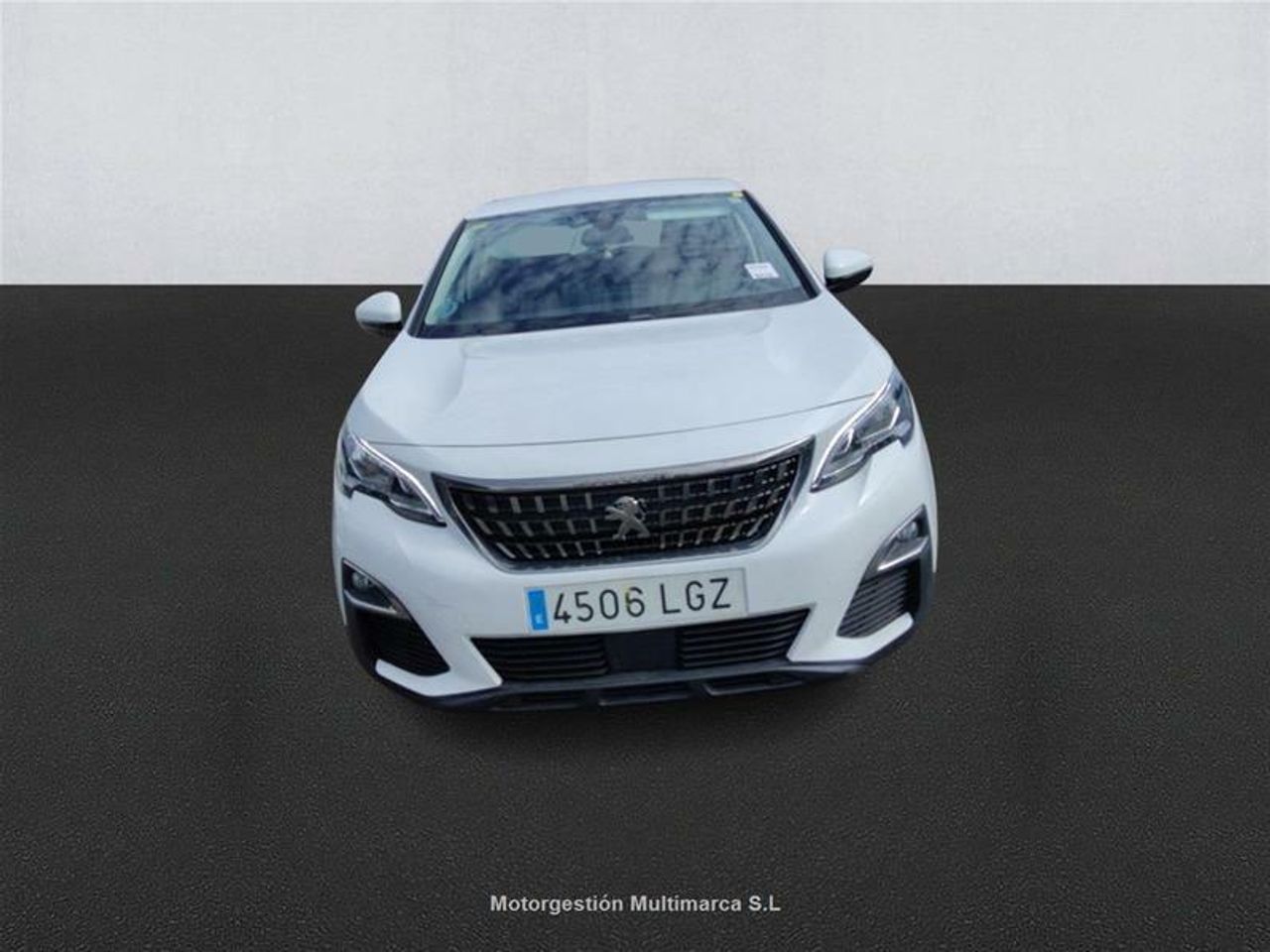 peugeot 3008 2020 / foto grande (2)