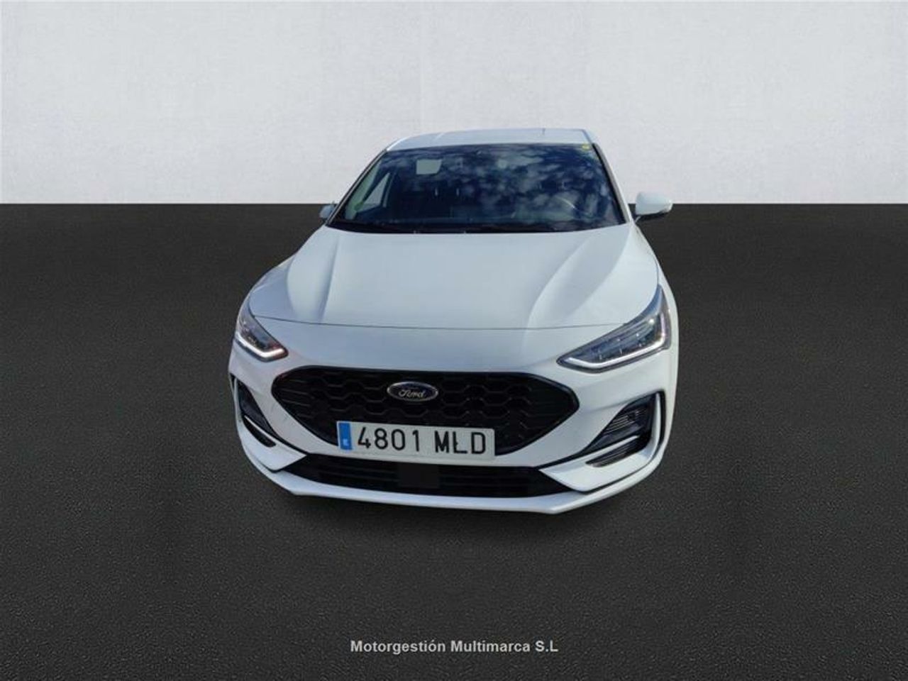 ford focus 2023 / foto grande (2)