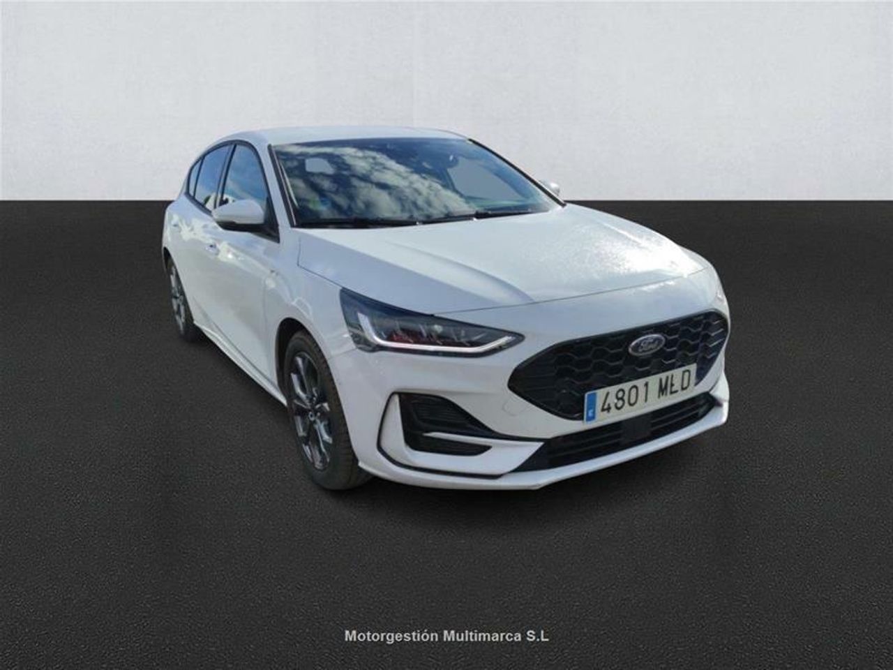 ford focus 2023 / foto grande (3)