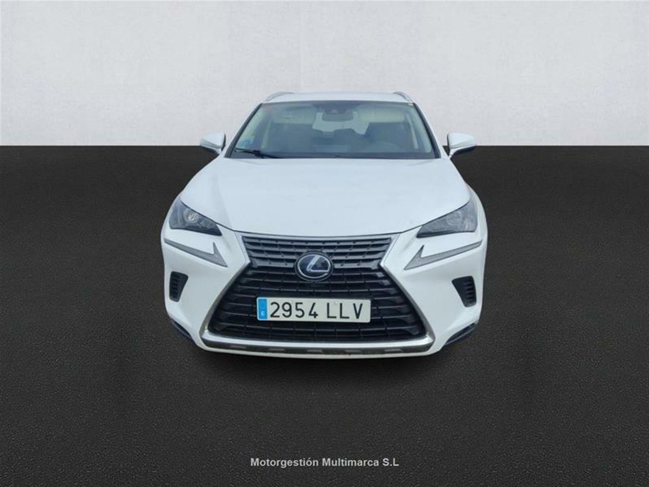 lexus nx 2020 / foto grande (2)