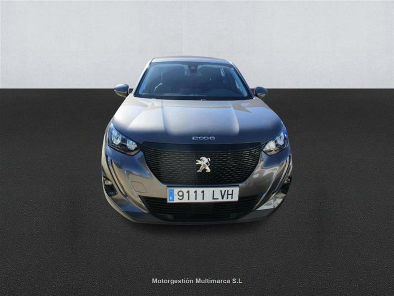peugeot 2008 2021 / foto grande (2)