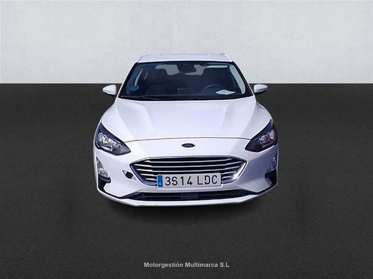 ford focus 2019 / foto grande (2)