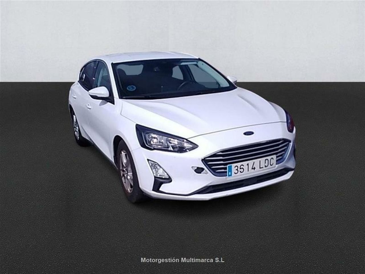 ford focus 2019 / foto grande (3)