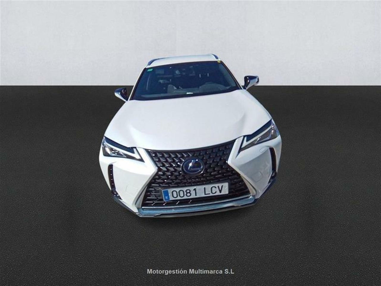 lexus ux 2019 / foto grande (2)