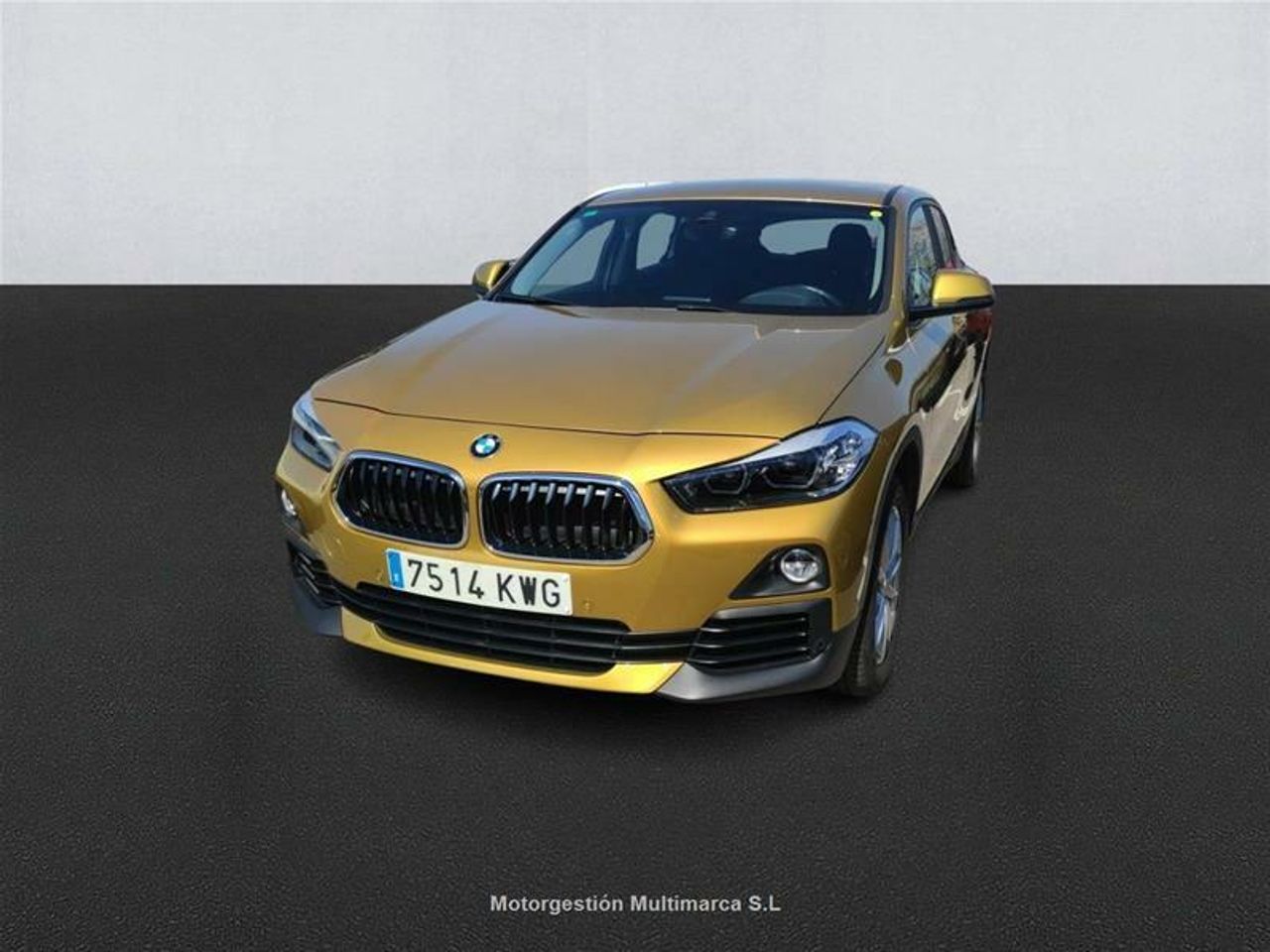 Foto bmw x2 2019 /