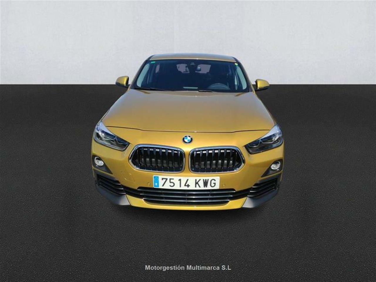bmw x2 2019 / foto grande (2)
