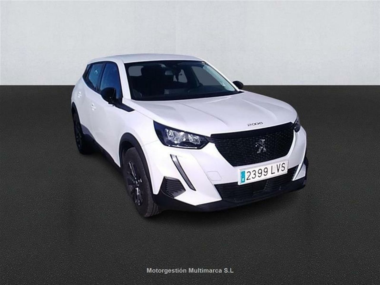 peugeot 2008 2021 / foto grande (3)