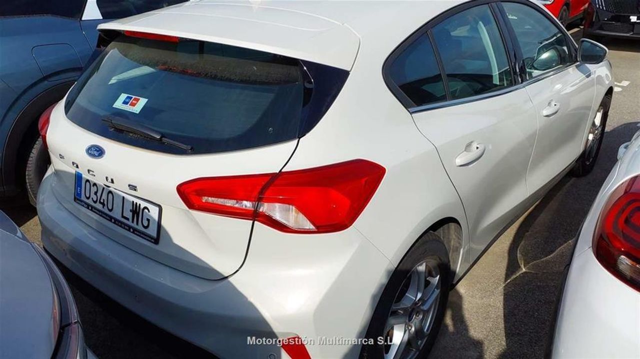 ford focus 2022 / foto grande (3)