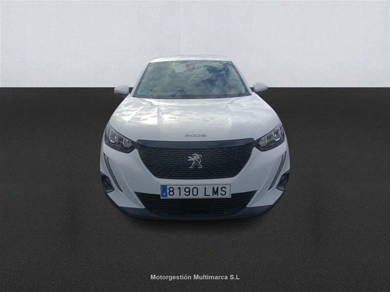 peugeot 2008 2021 / foto grande (2)