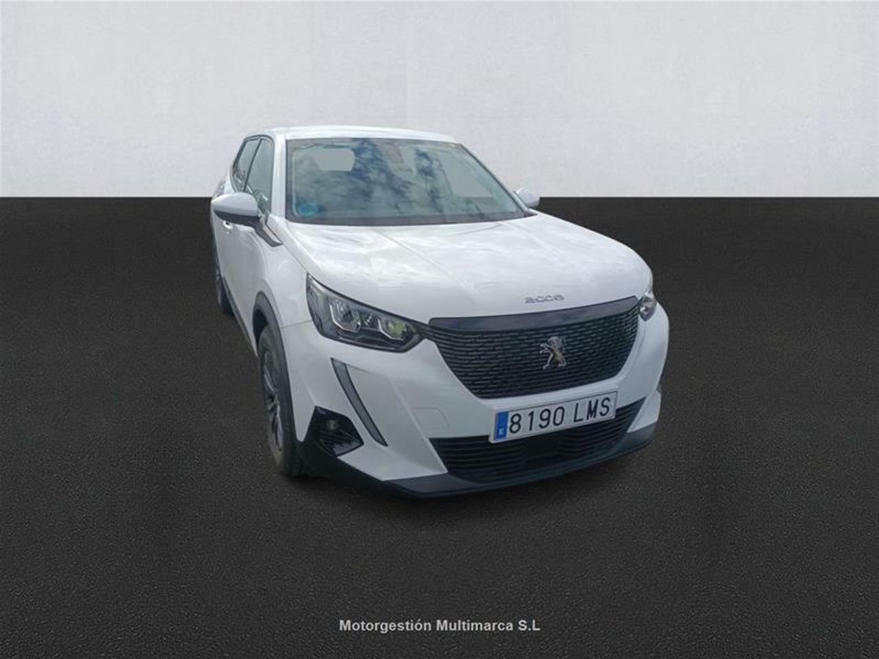 peugeot 2008 2021 / foto grande (3)