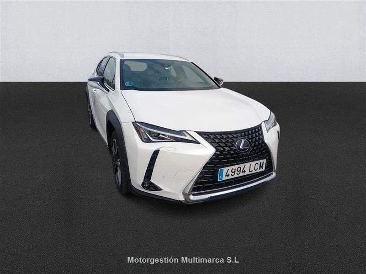 lexus ux 2019 / foto grande (3)
