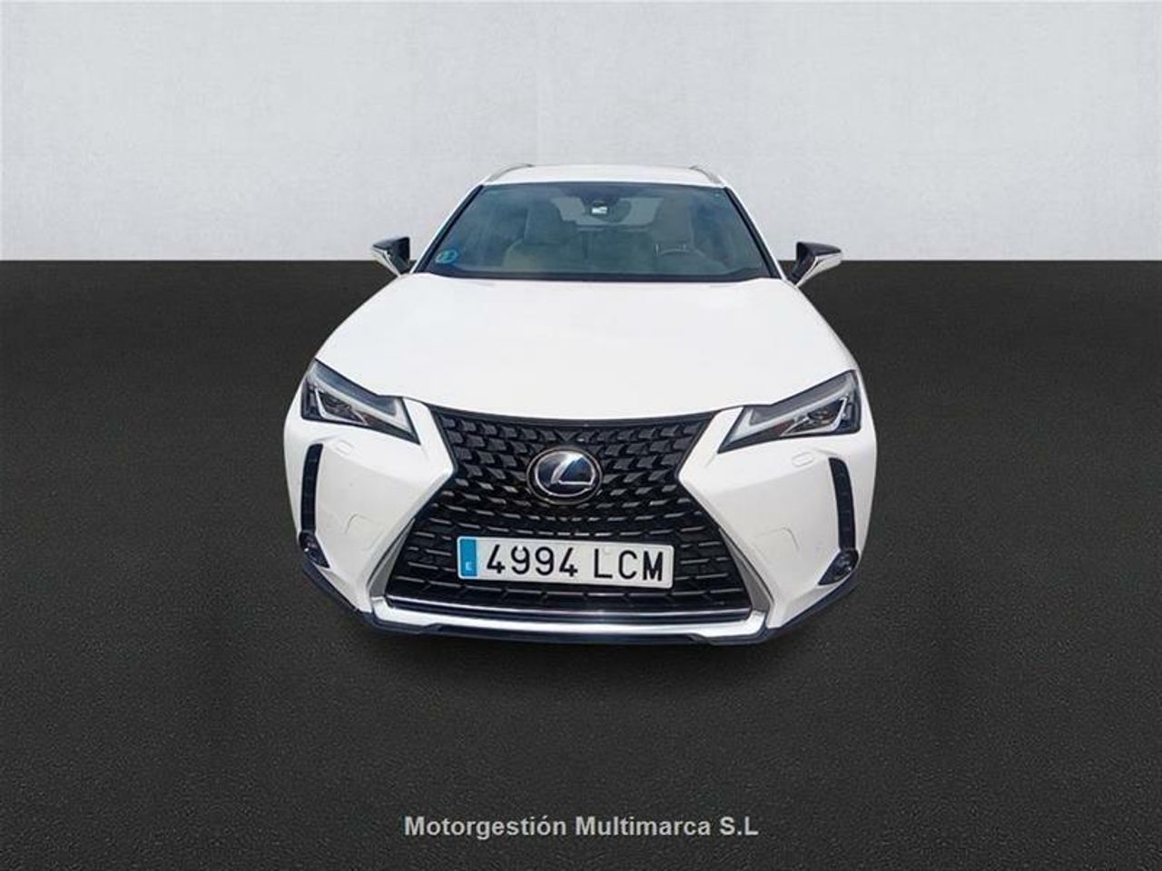 lexus ux 2019 / foto grande (2)