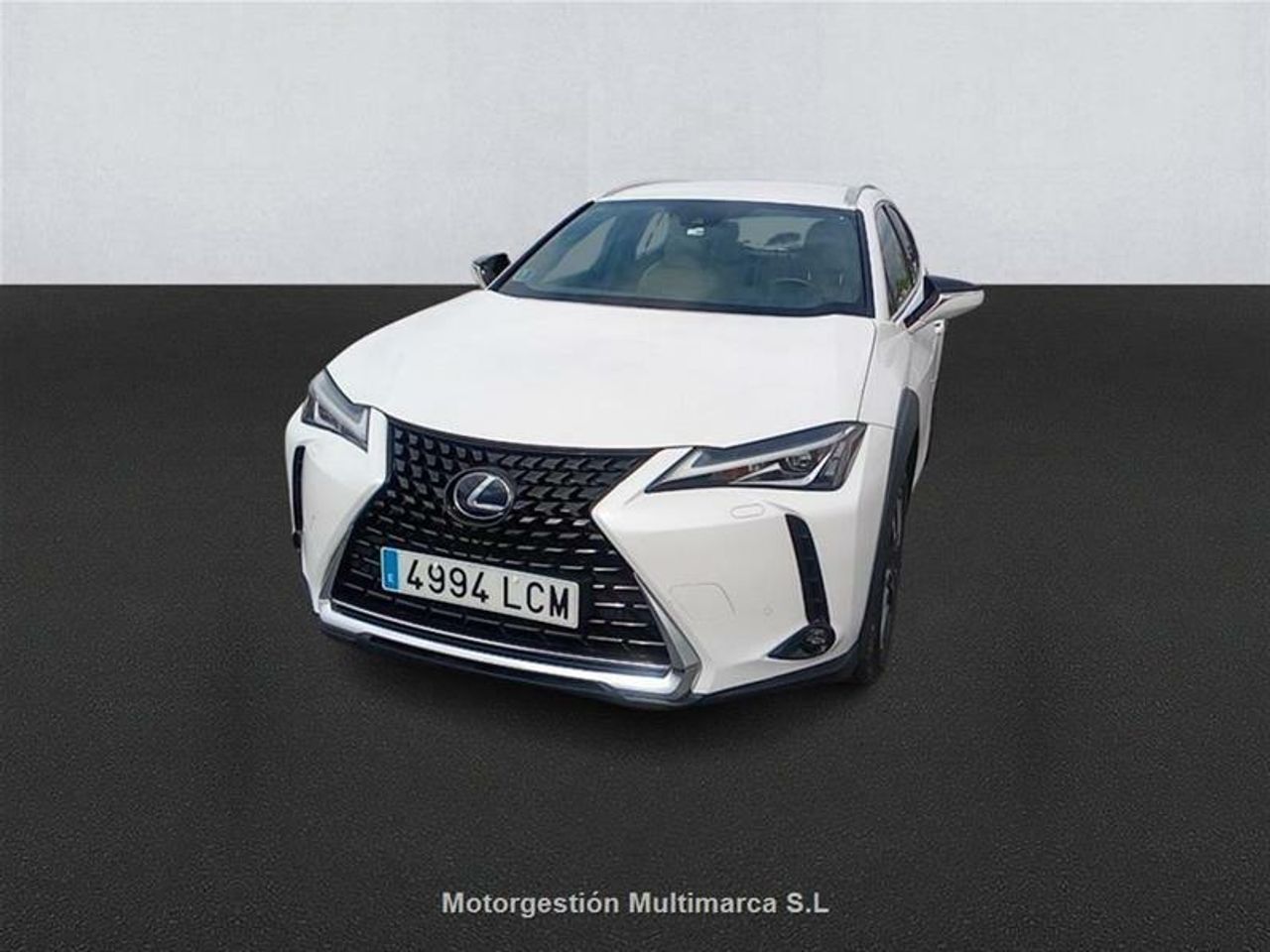 Foto lexus ux 2019 /