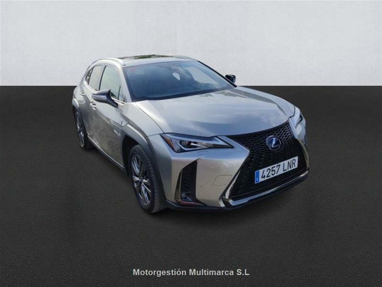 lexus ux 2021 / foto grande (3)
