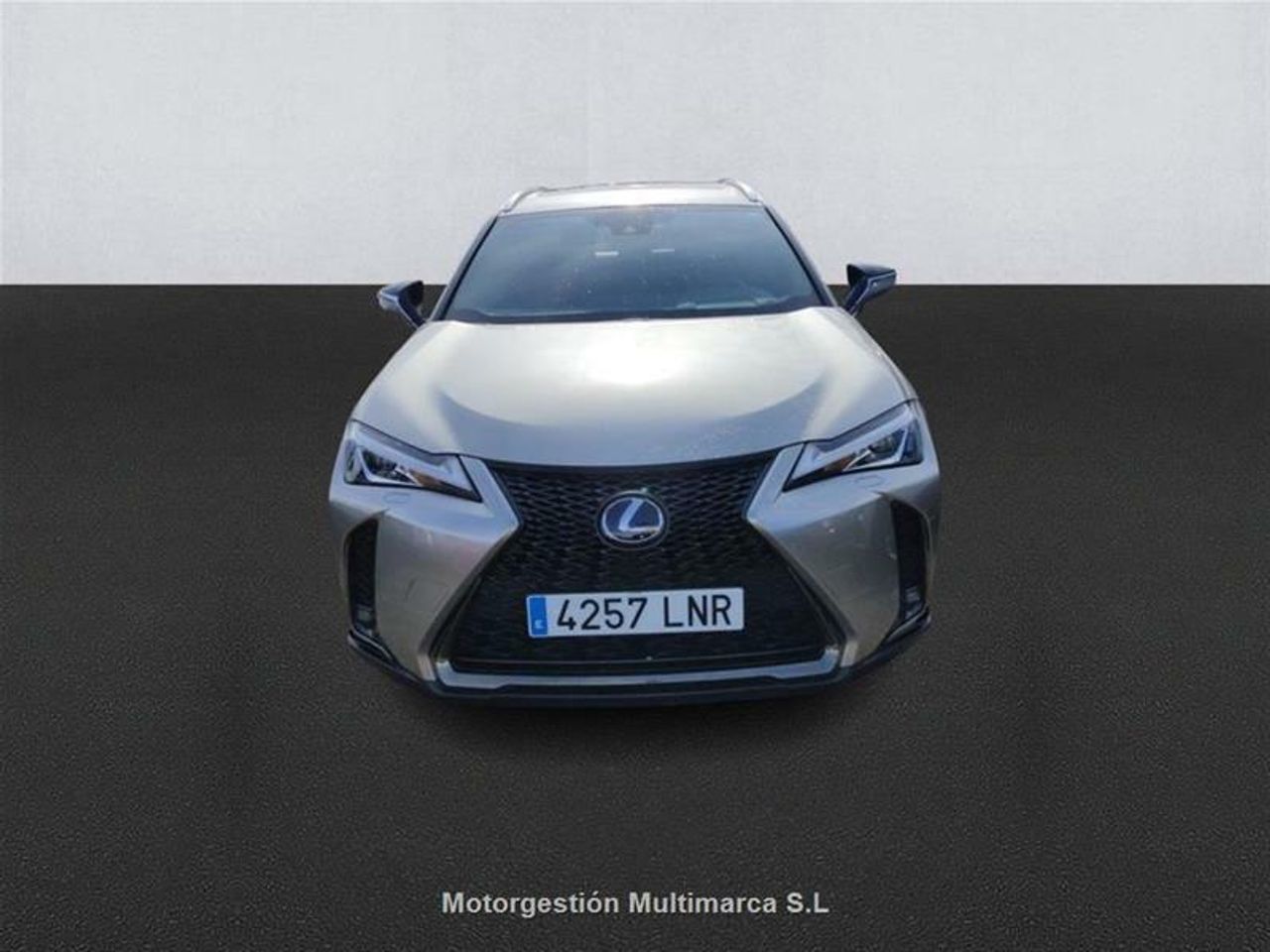 lexus ux 2021 / foto grande (2)