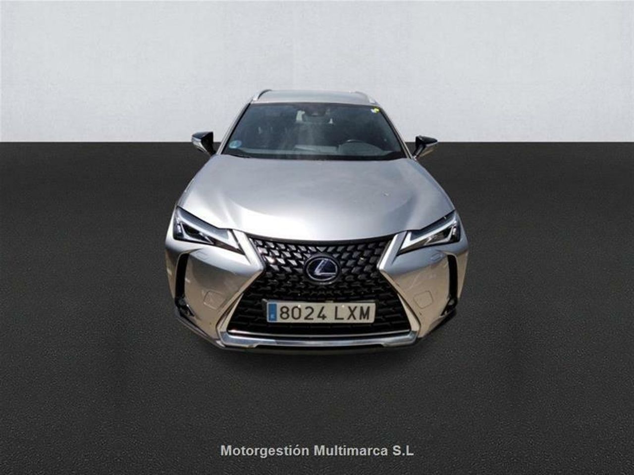 lexus ux 2022 / foto grande (2)