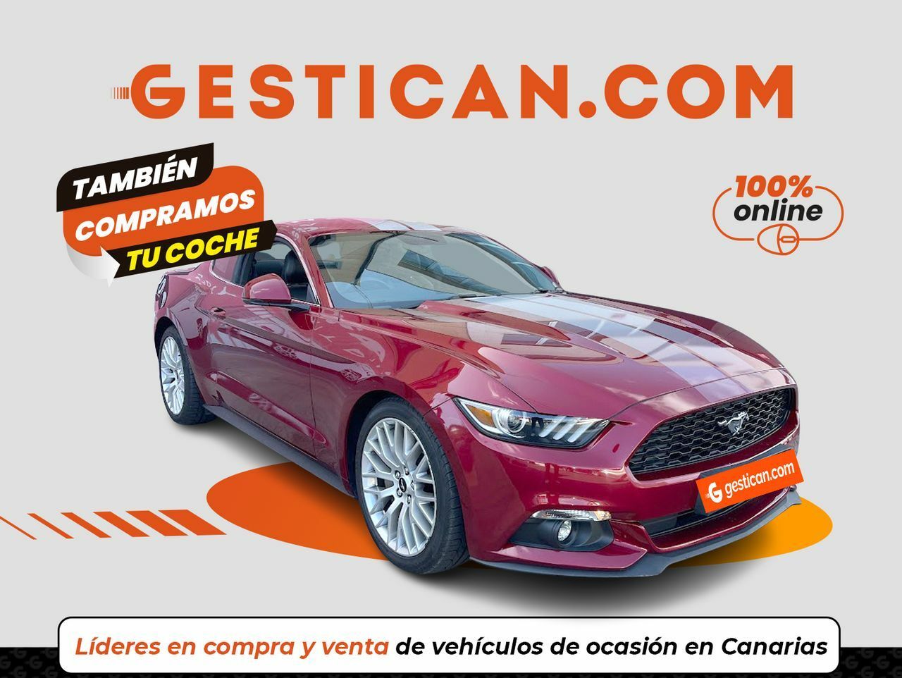 Foto ford mustang 2017 /