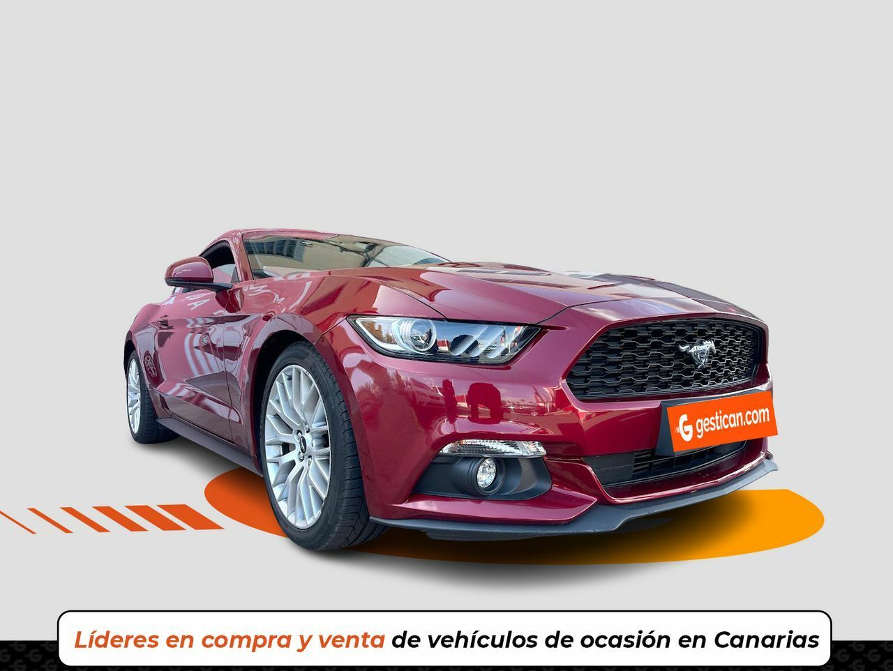 ford mustang 2017 / foto grande (2)