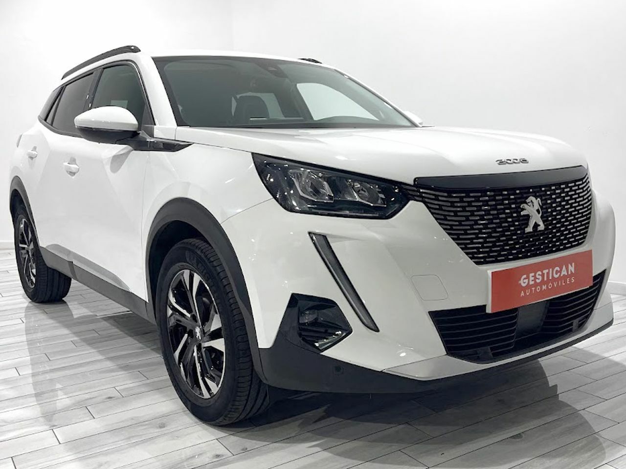 peugeot 2008 2021 / foto grande (2)