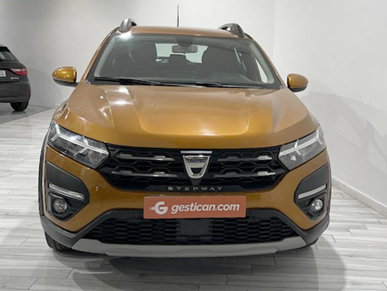 dacia sandero 2021 / foto grande (3)