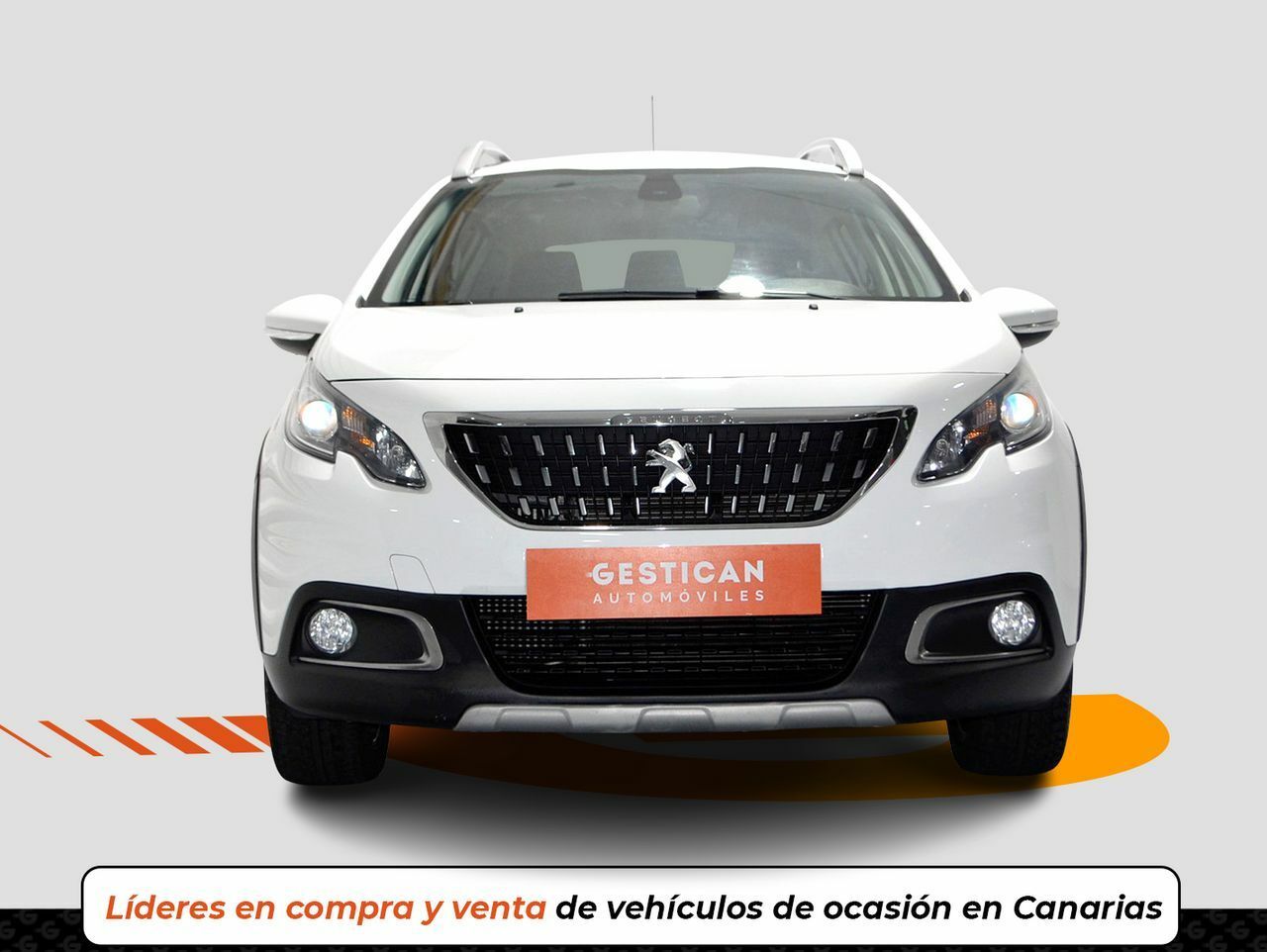peugeot 2008 2016 / foto grande (3)