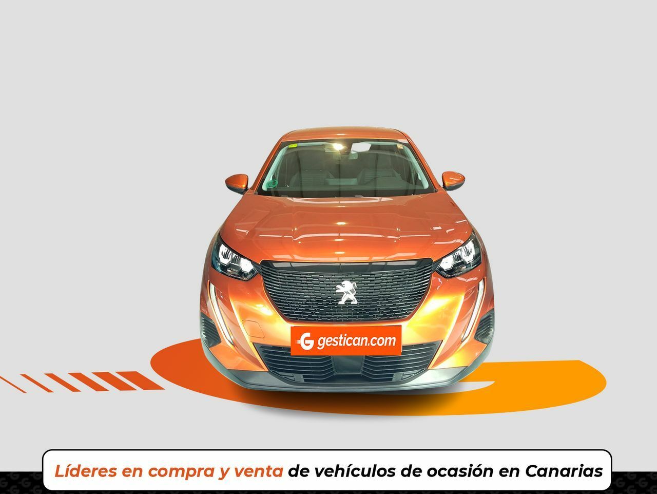 peugeot 2008 2021 / foto grande (2)