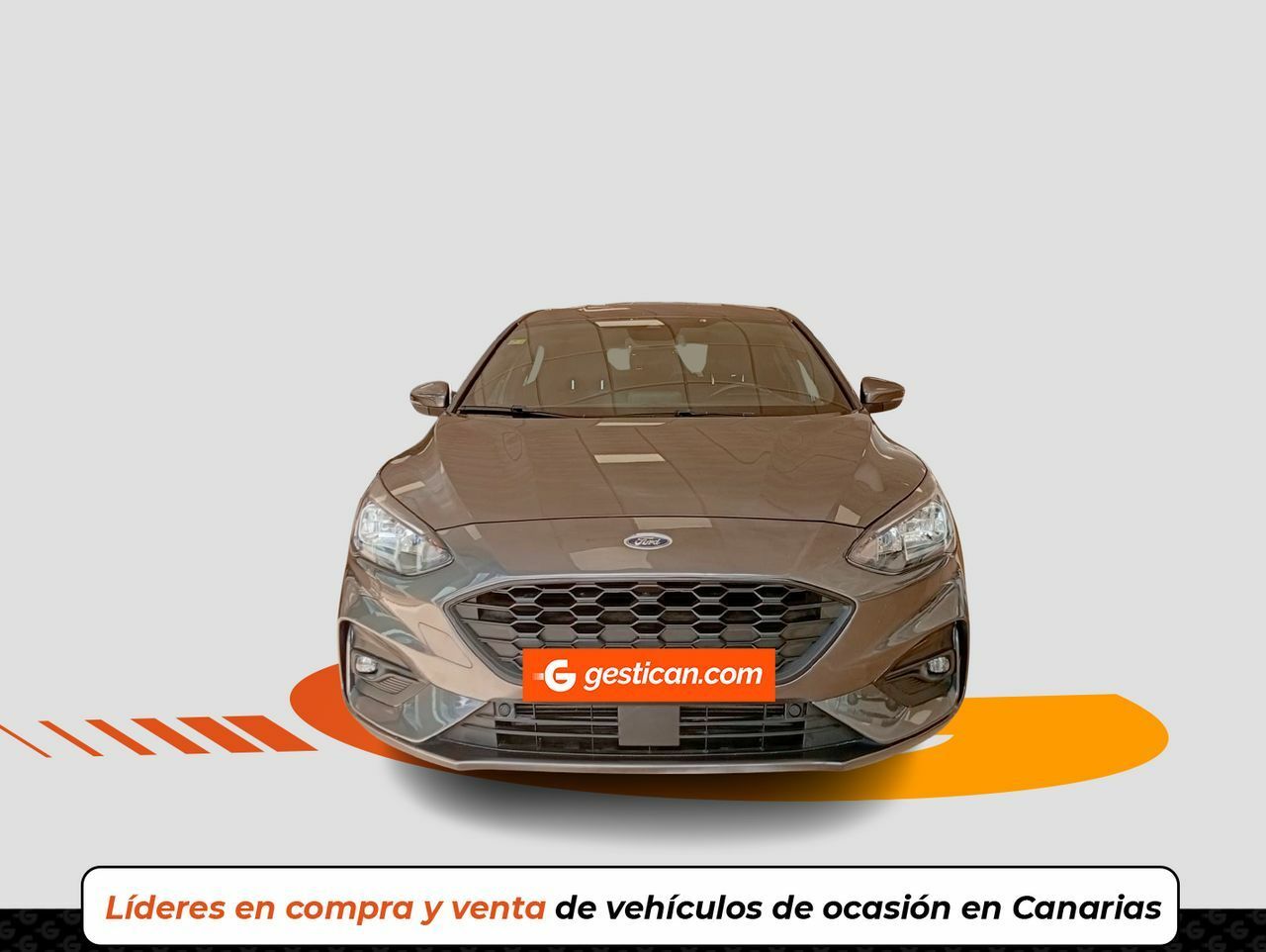 ford focus 2021 / foto grande (3)