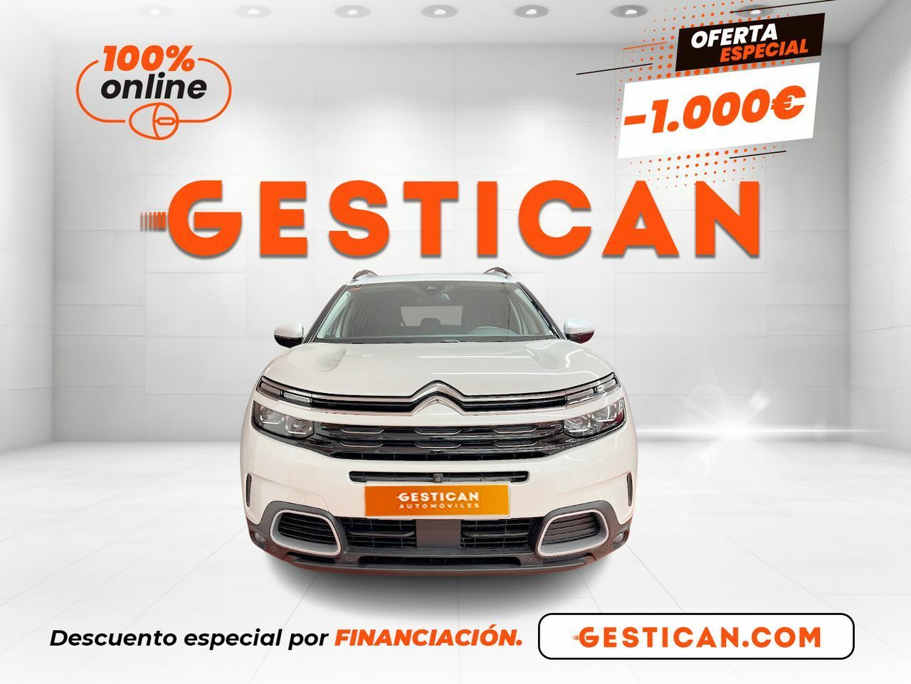 citroën c5 aircross 2021 / foto grande (2)
