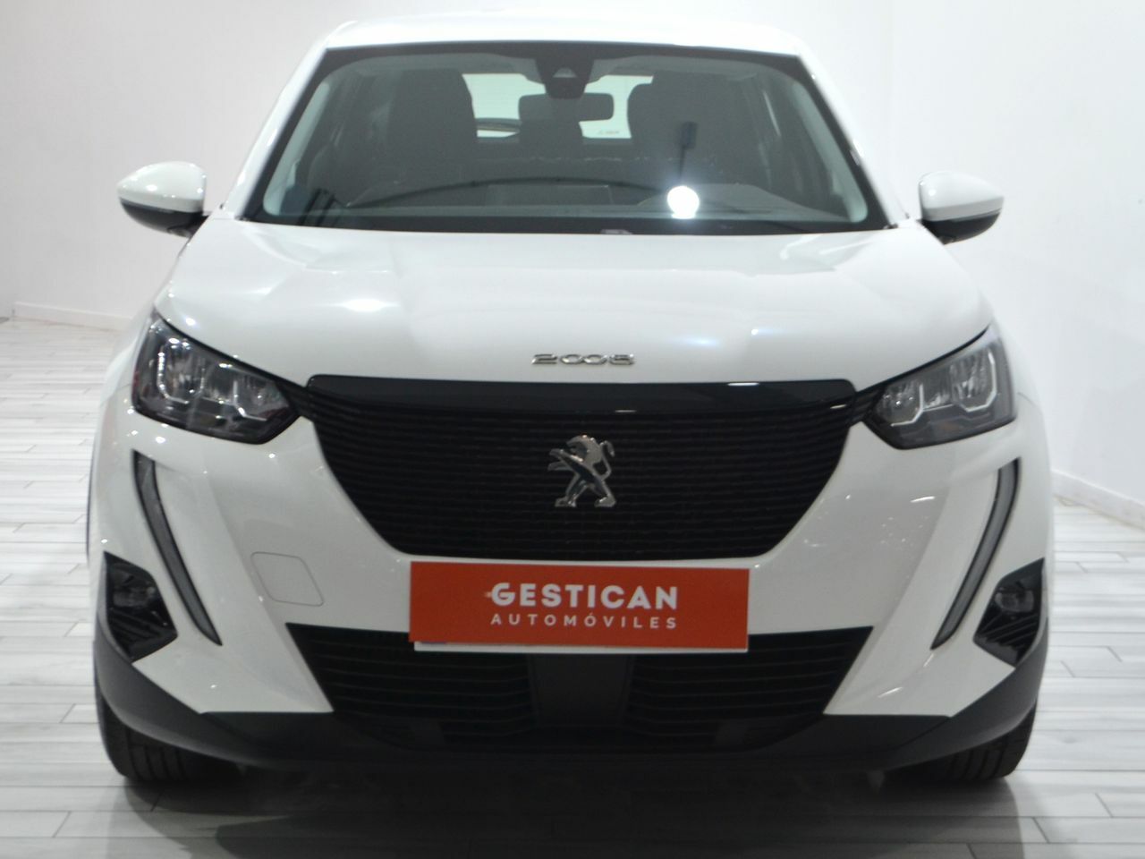 peugeot 2008 2021 / foto grande (2)