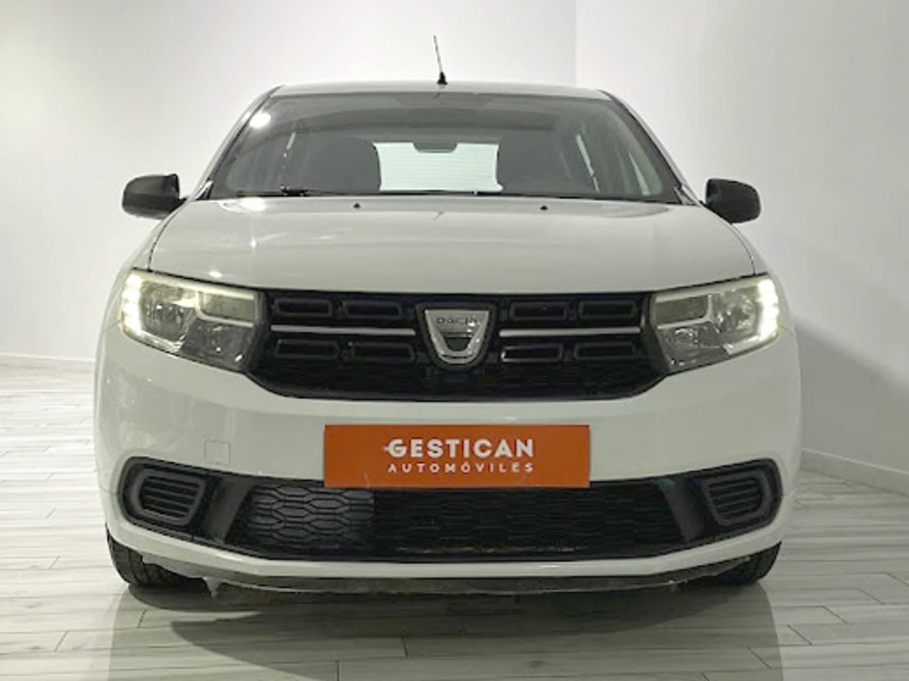 dacia sandero 2019 / foto grande (3)