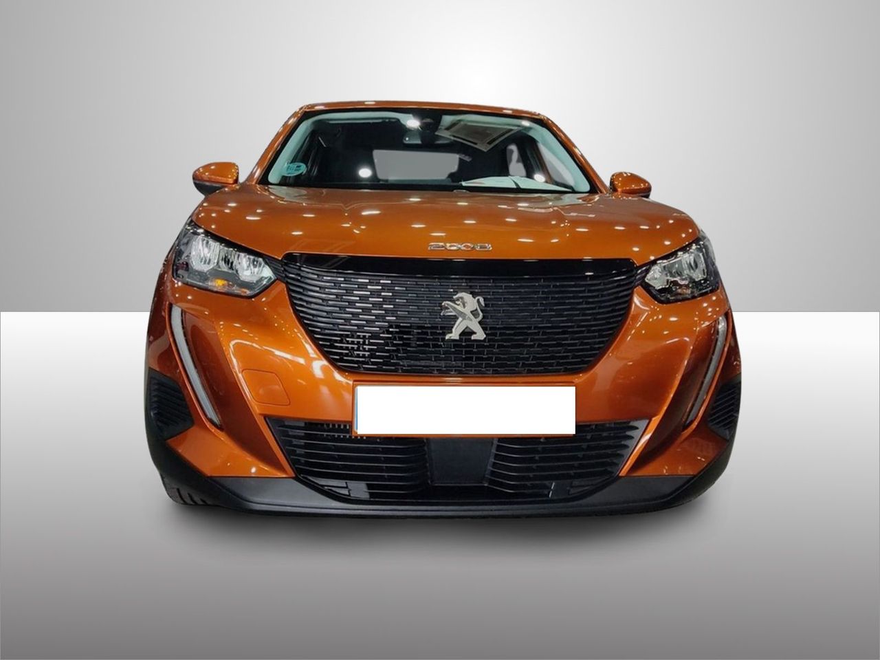 peugeot 2008 2021 / foto grande (2)