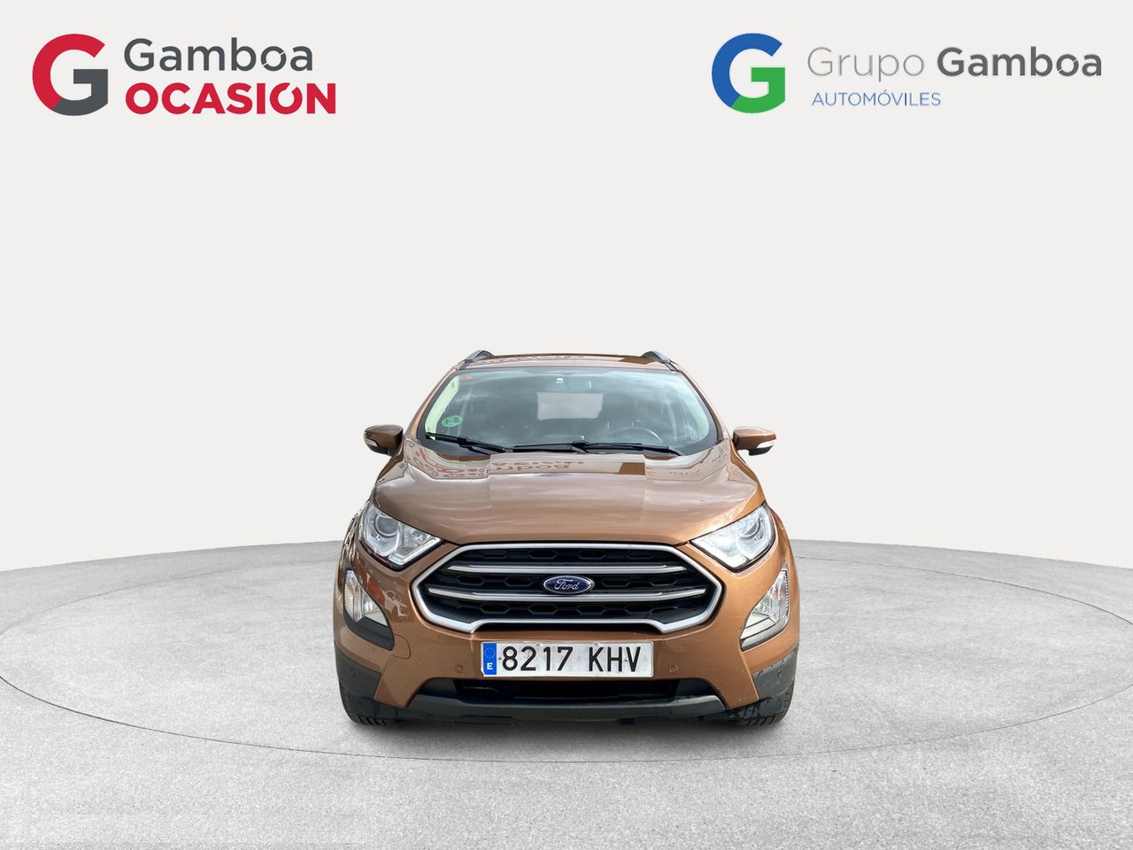 ford ecosport 2018 / foto grande (2)