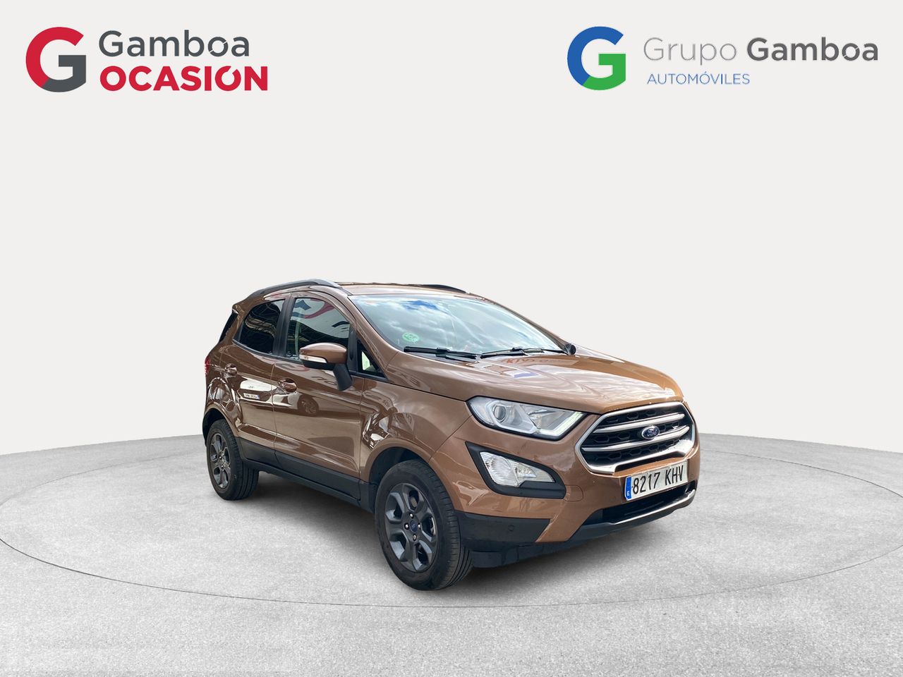 ford ecosport 2018 / foto grande (3)