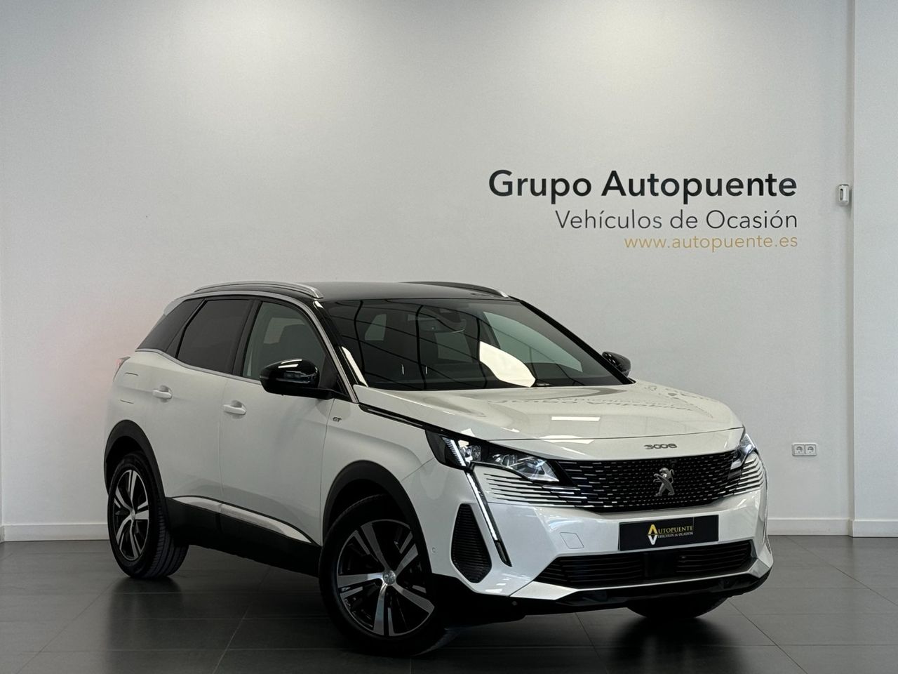 peugeot 3008 2021 /