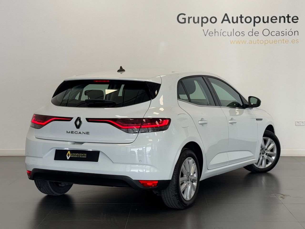 renault megane 2022 / foto grande (3)