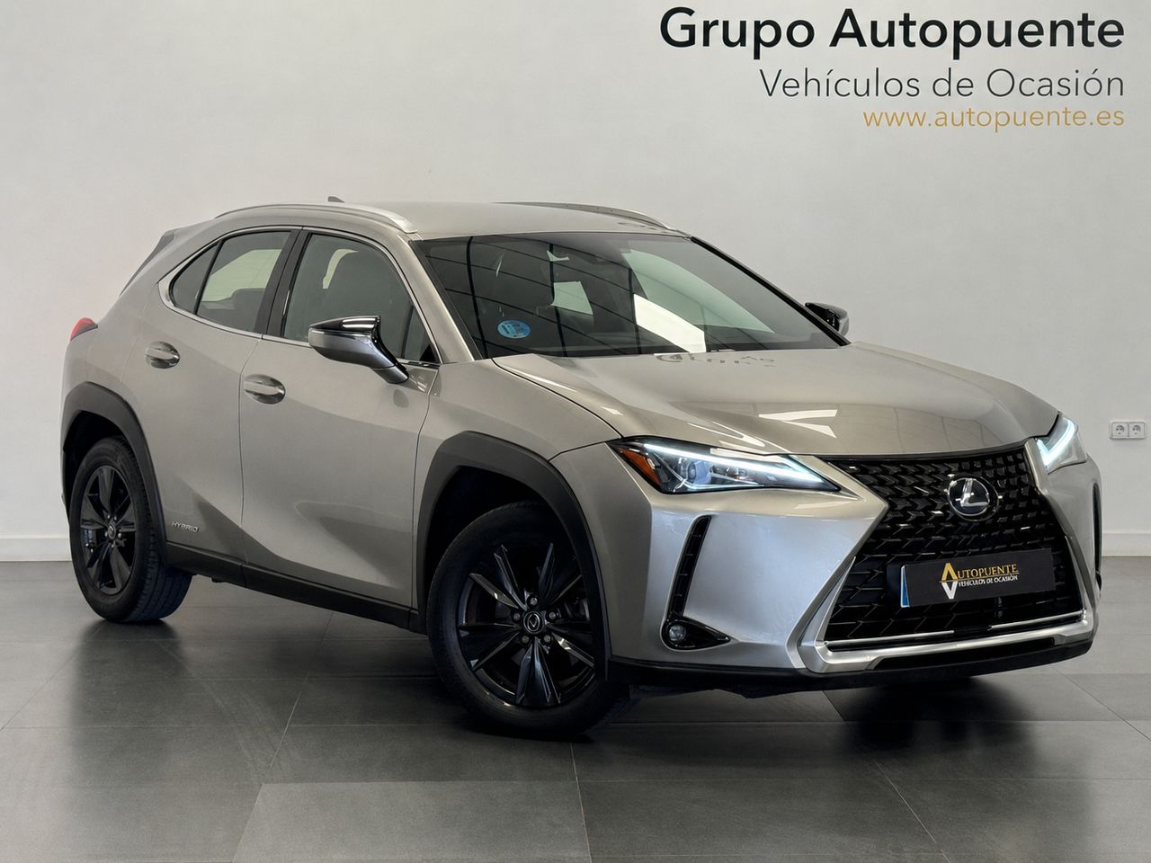 Lexus UX 250H BUSINESS