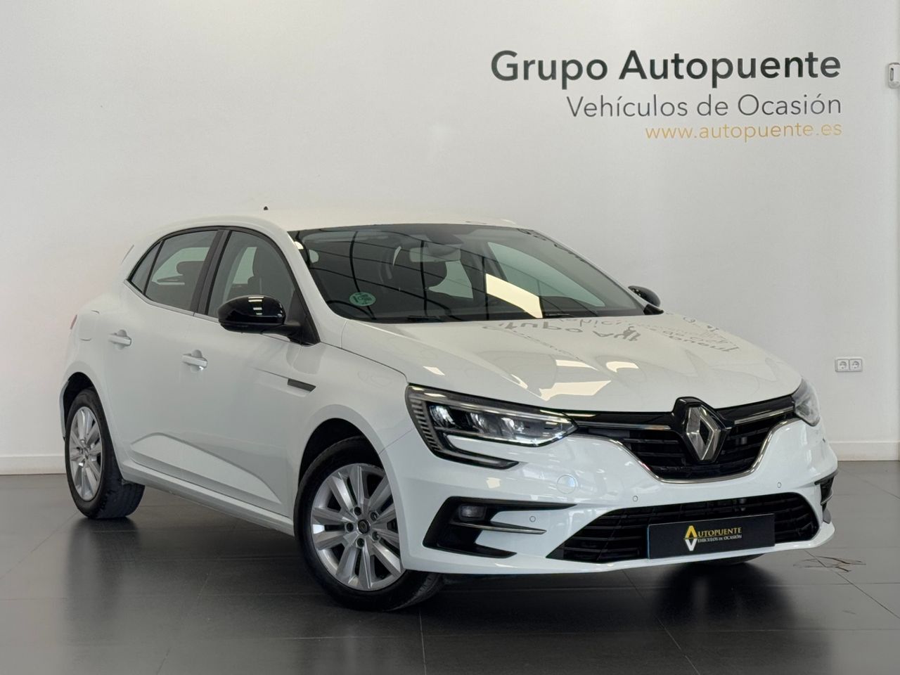 Renault Megane BUSINESS BLUE DCI