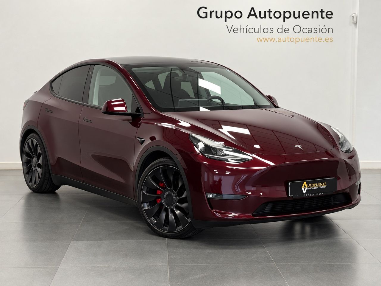 Tesla Model Y MODEL Y PERFORMANCE