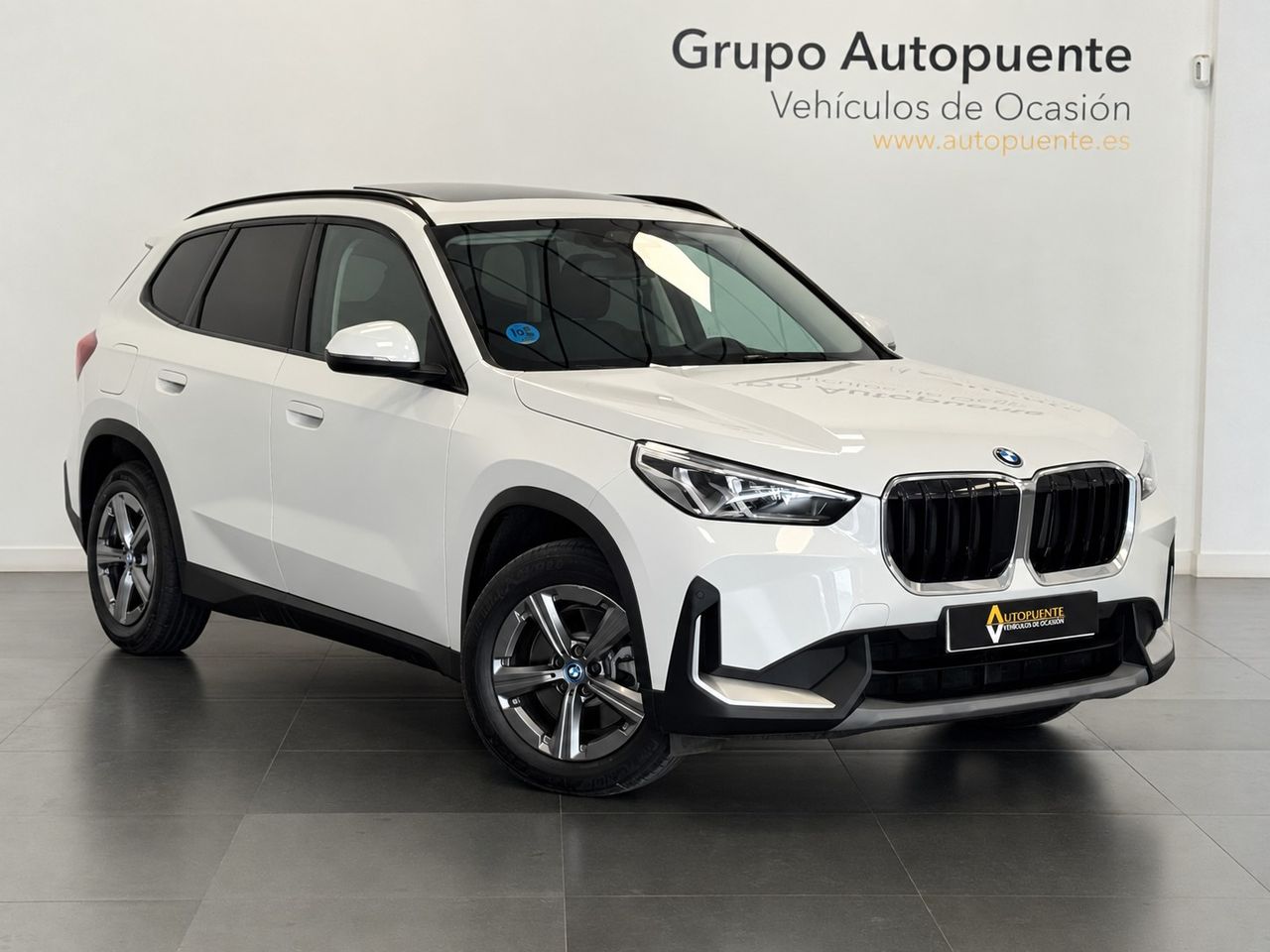 BMW X1 25E XDRIVE
