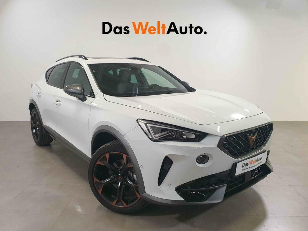 Foto cupra formentor 2024 /